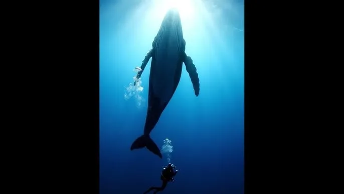 危险游戏：总裁十恶不赦 - 深蓝星球：探索海洋深处的未知世界